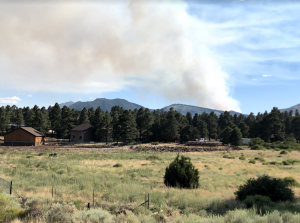 Wildfire