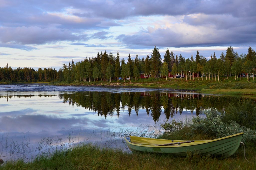 boreal forest in Finland