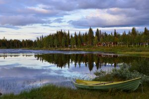 boreal forest in Finland