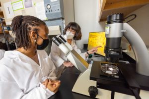 women working in lab