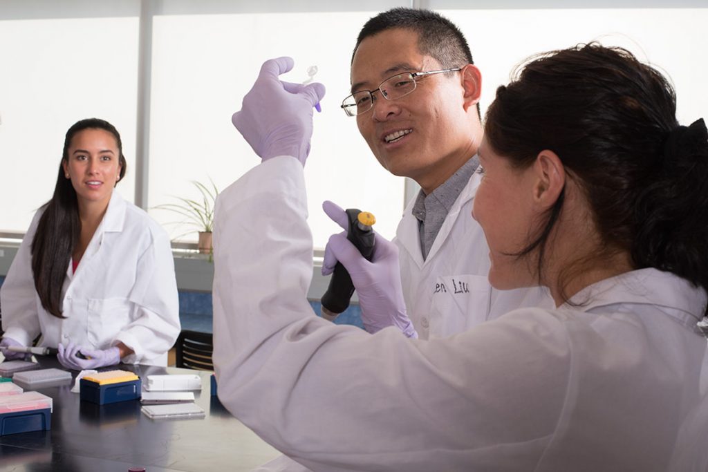 Ecoss students working in a lab