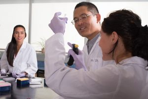 Ecoss students working in a lab