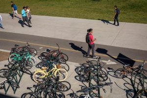 Picture of NAU Pedway with a student in the bike lane.