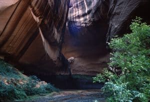 In 1965 photographer Tad Nichols captured this image of Cathedral in the Desert, a monument in Glen Canyon, Arizona., that is now 100 feet under water.