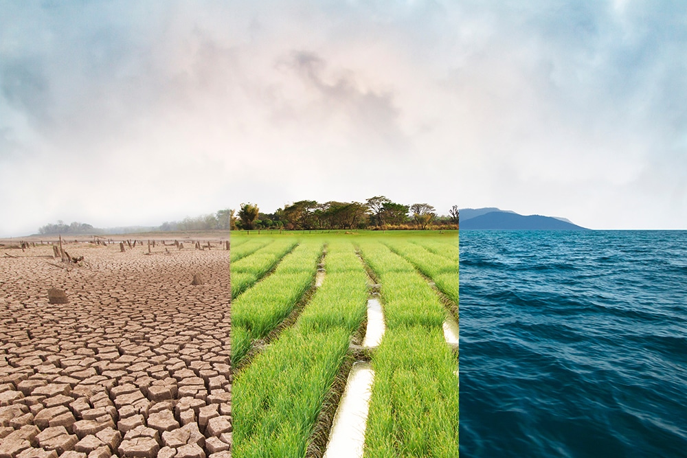 A collage of desert land, farmland and ocean