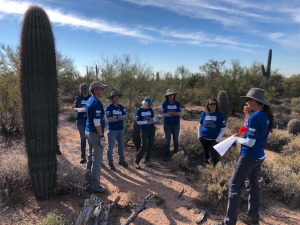 Group in desert