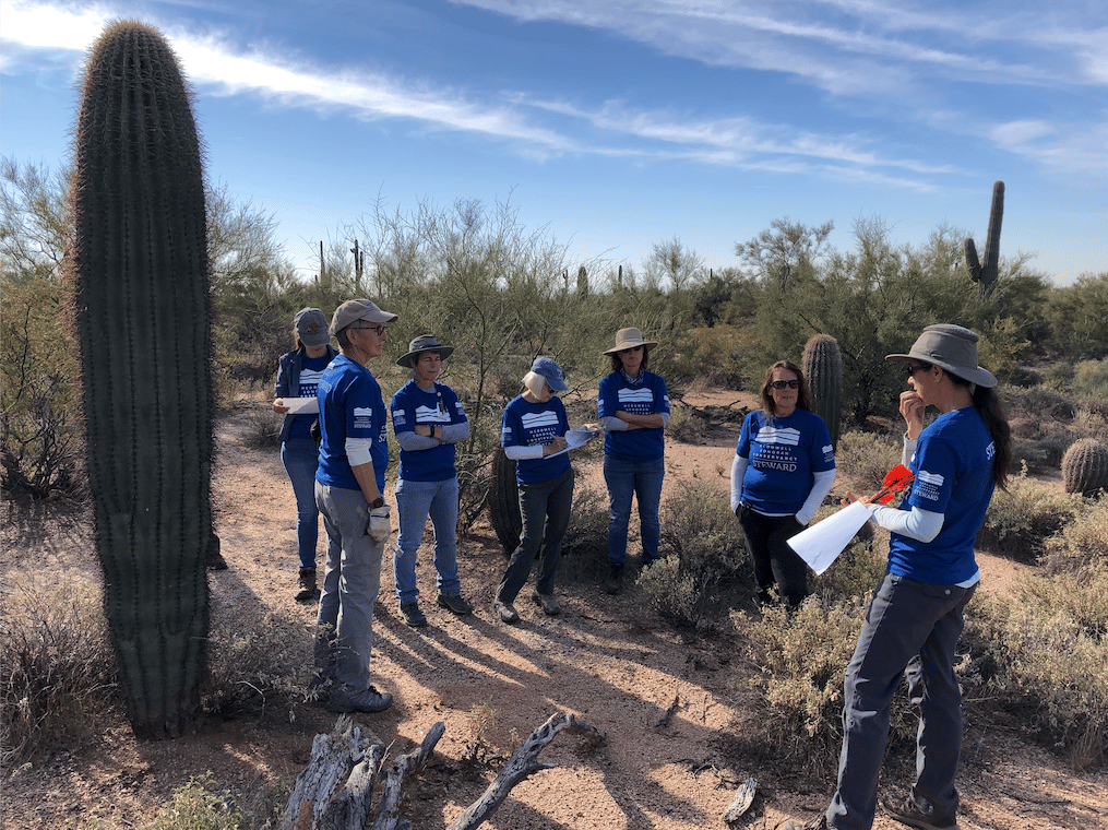 Group in desert