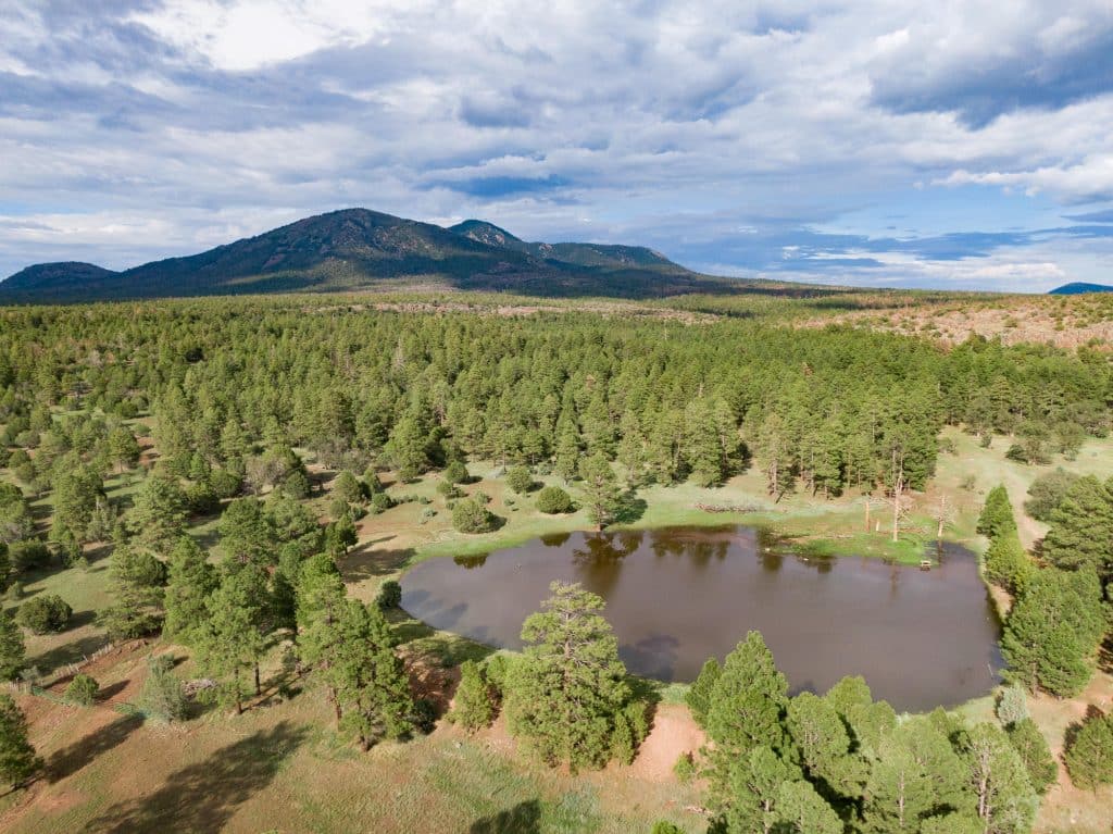 Many clouds against blue skies, mountains in the distance as camera looks down on forest with many trees with large lake in the middle