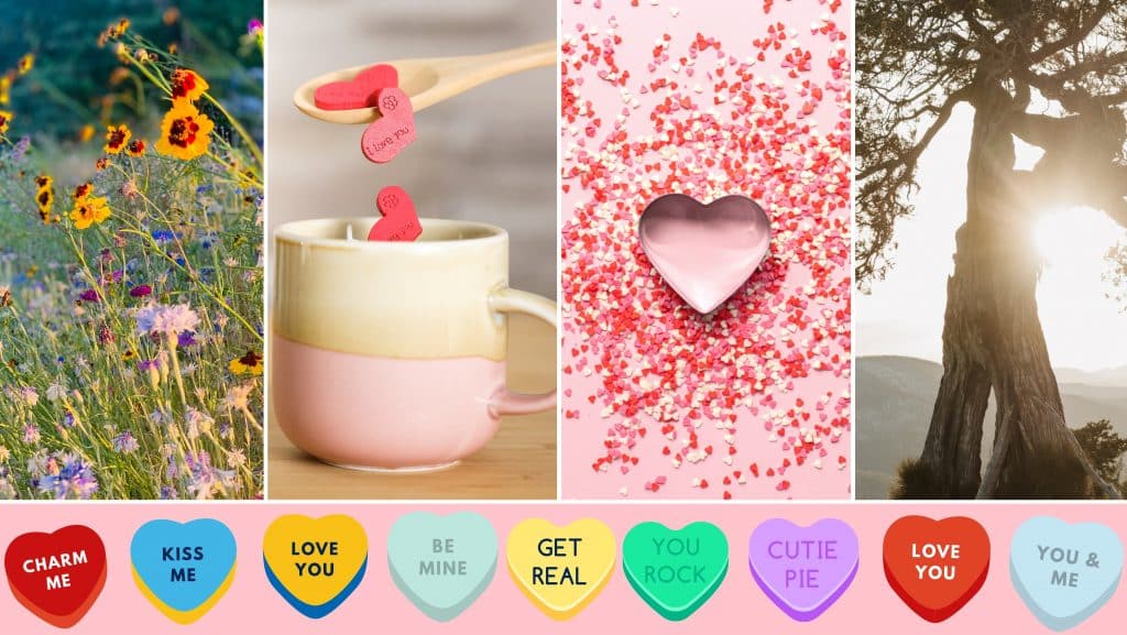 four picture panel collage from left to right: sunflowers growing wild, a white and pink cup with little red hearts being dropped into it - the one facing the viewer says 'I love you,' A clear glass heart against red confetti and a pick background, and tree in front of the sun with a glint from the sun passing from under the branches. A bottom border of candy hearts and from left to right they read 'charm me' 'kiss me' love you' 'be mine' get real' 'you rock' 'cutie pie' 'love you' 'you&me'