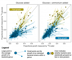 Graphics comparing microbes