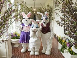 Easter Bunnies at the White House Easter Egg roll