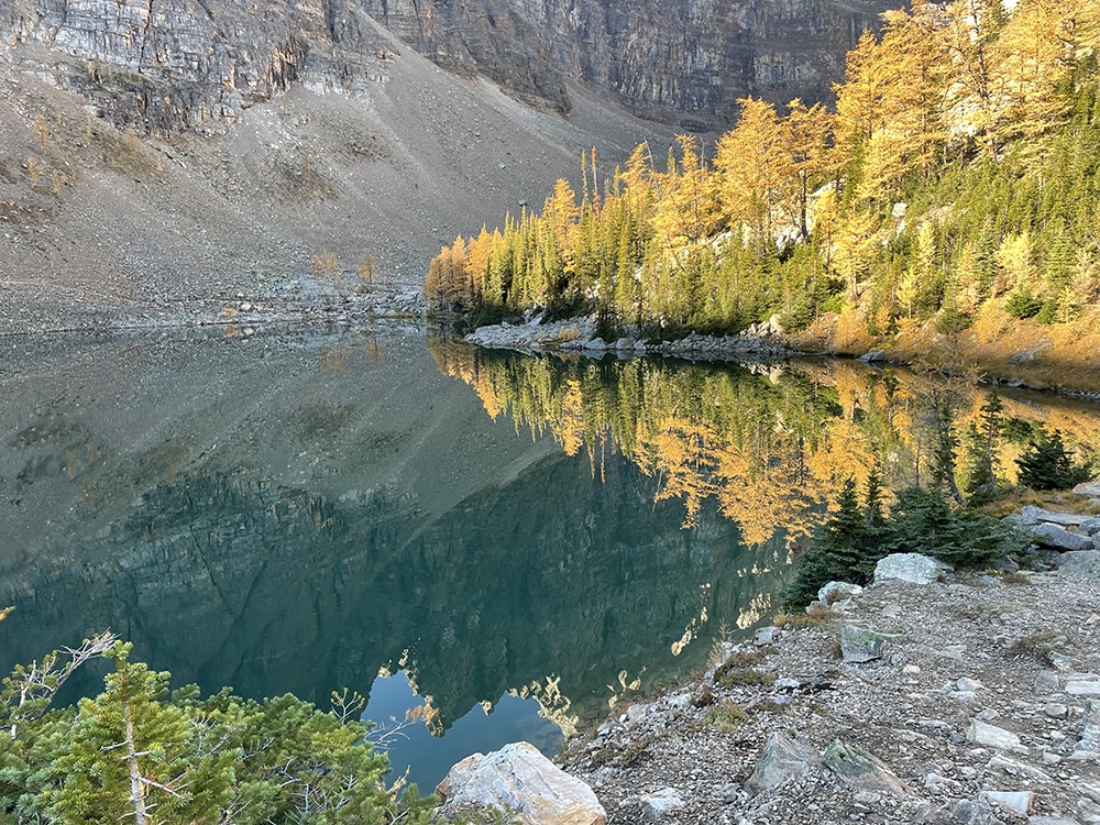 Trees and mountain reflected in a lake