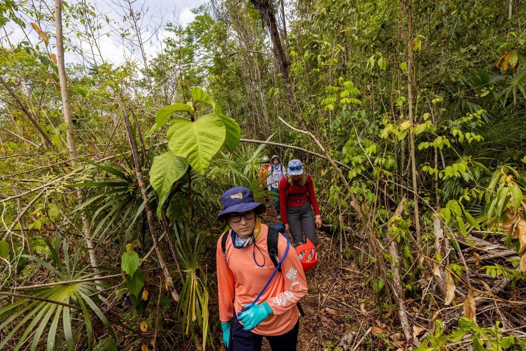 Students walk through the Belizean jungle.