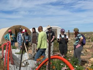 Community members explore a community garden in Flagstaff.