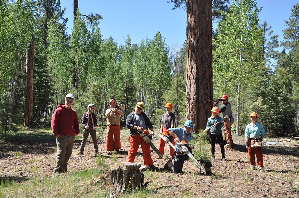 Members of the forestry program stand in the forest with hard hats and chainsaws.