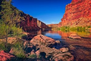 The Colorado River going through Marble Canyon with a blue sky.