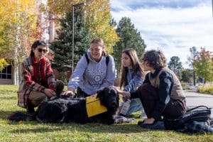 students petting a black lab on the NAU campus