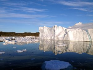 Arctic sea ice