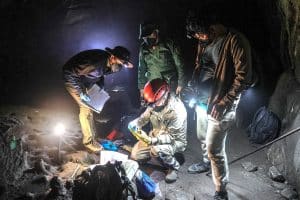 Sangay Tshering, Pema Namgay, Passang Balu, and Jut Wynne (center) processing a captured Great Himalayan Leaf-nosed Bat (Hipposideros armiger), Rangtse Ney Cave, Gakiling Gewog. Courtesy Nima Tshering.