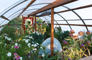 Greenhouse garden