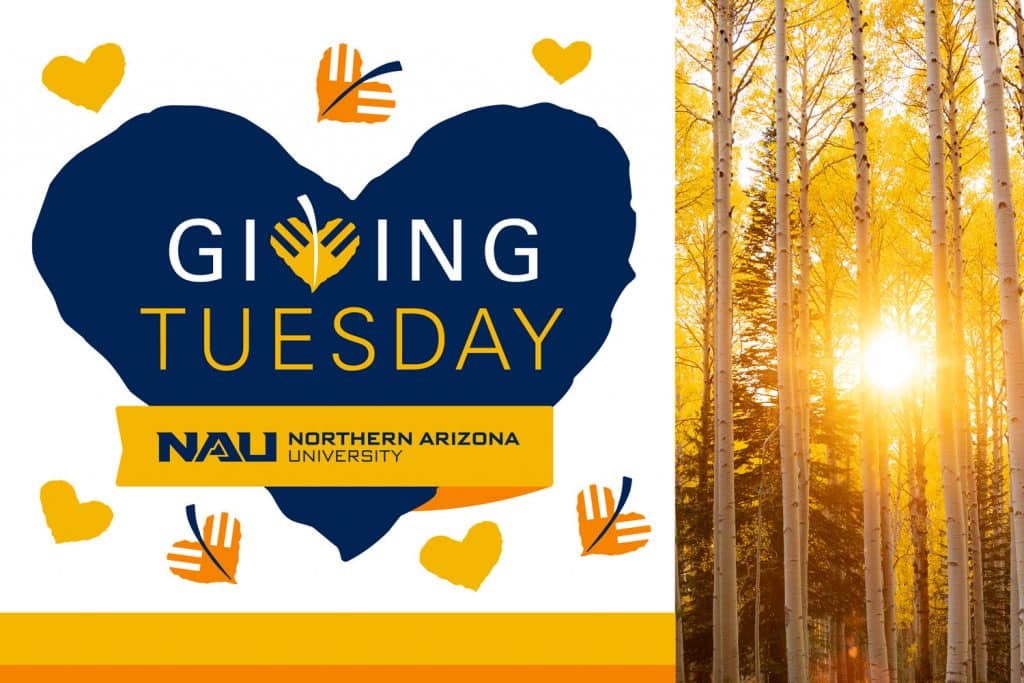 Giving Tuesday