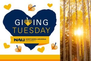Giving Tuesday