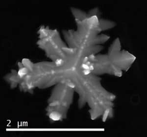 A close-up image of a microscopic gold nanocrystal, which looks like a snowflake with six distinct branches.