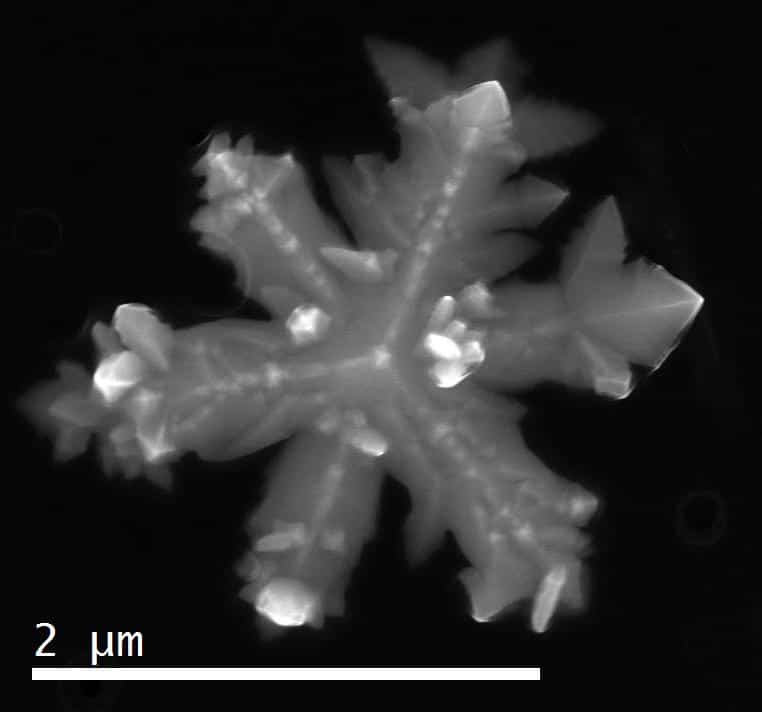 A close-up image of a microscopic gold nanocrystal, which looks like a snowflake with six distinct branches.