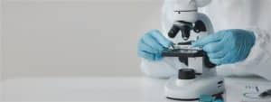 Gloved hands setting a slide down on a microscope