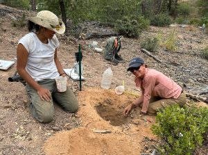 Monse Cahueque and Salli Dymond digging a pit to install an underground soil moisture sensor