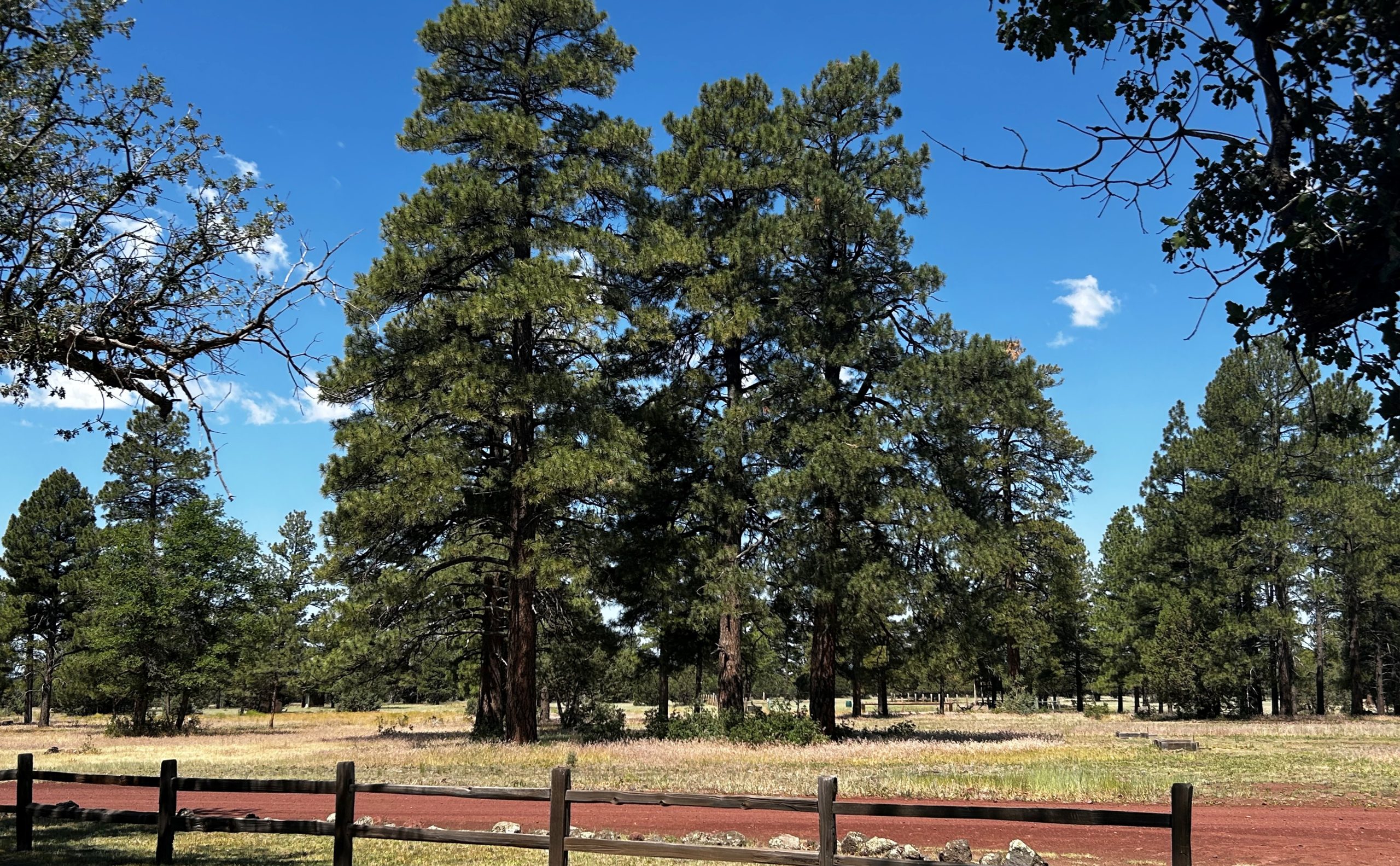 Hat Ranch