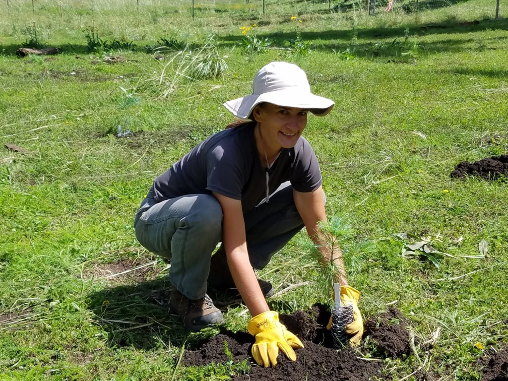 Kristen Waring planting a seedling tree in a green grass field
