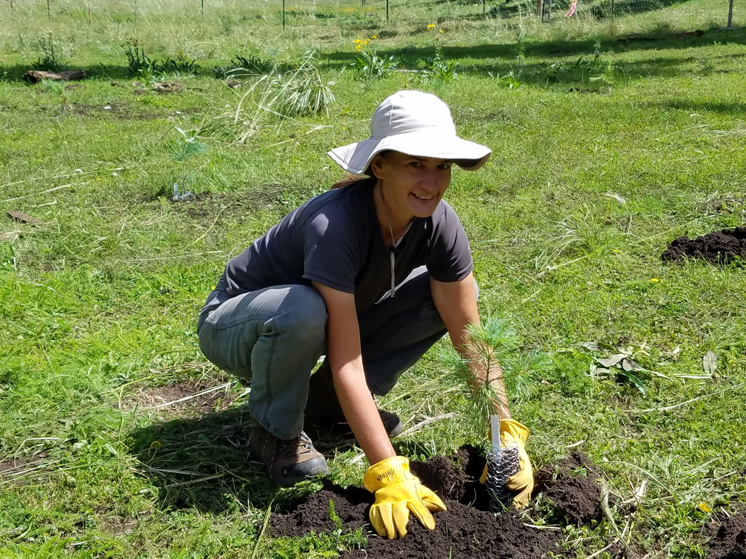 Kristen Waring planting a seedling tree in a green grass field