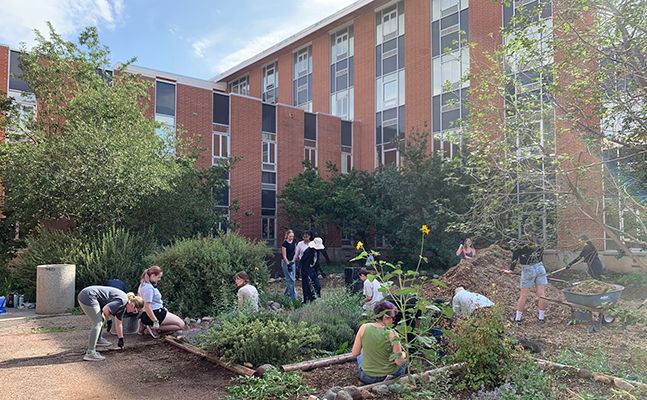 Volunteers working at the Shand Garden