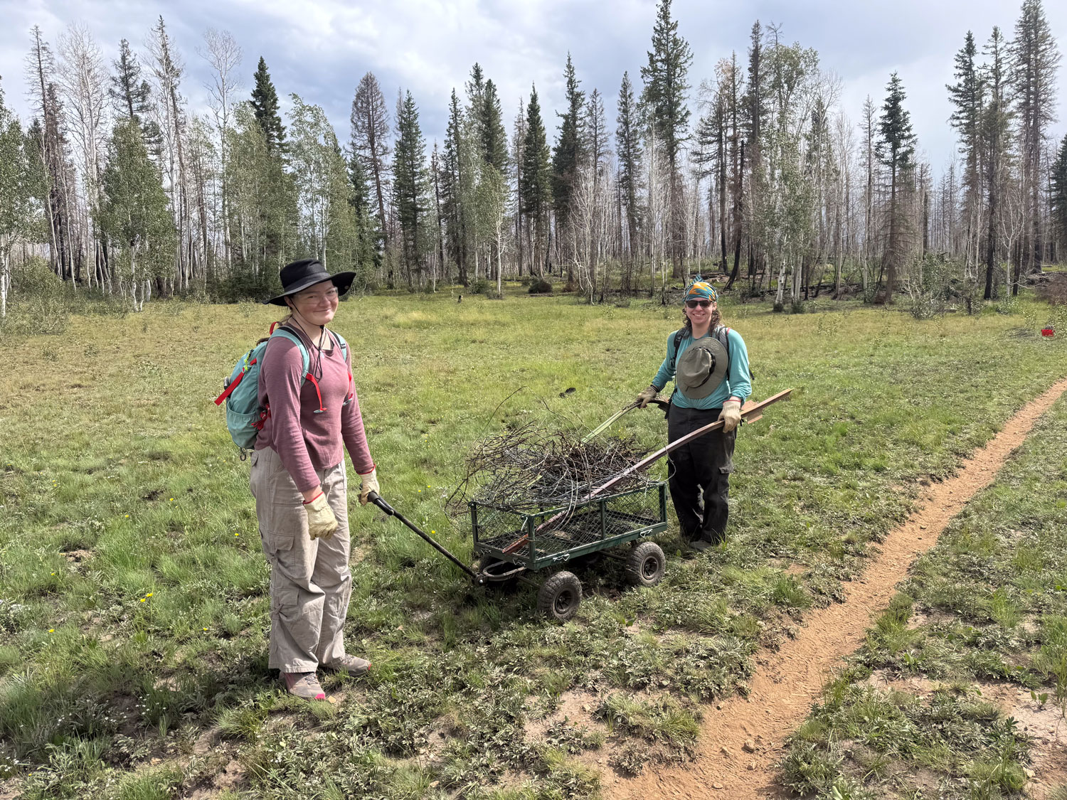 Two people carrying a wagonload of barbed wire fence through an open meadow