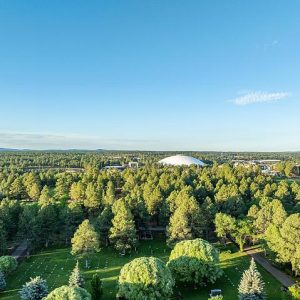 Aerial view of a lush, green park or campus with a large dome-shaped building in the distance, surrounded by a dense forest. The landscape features manicured lawns, trees, and landscaping elements.