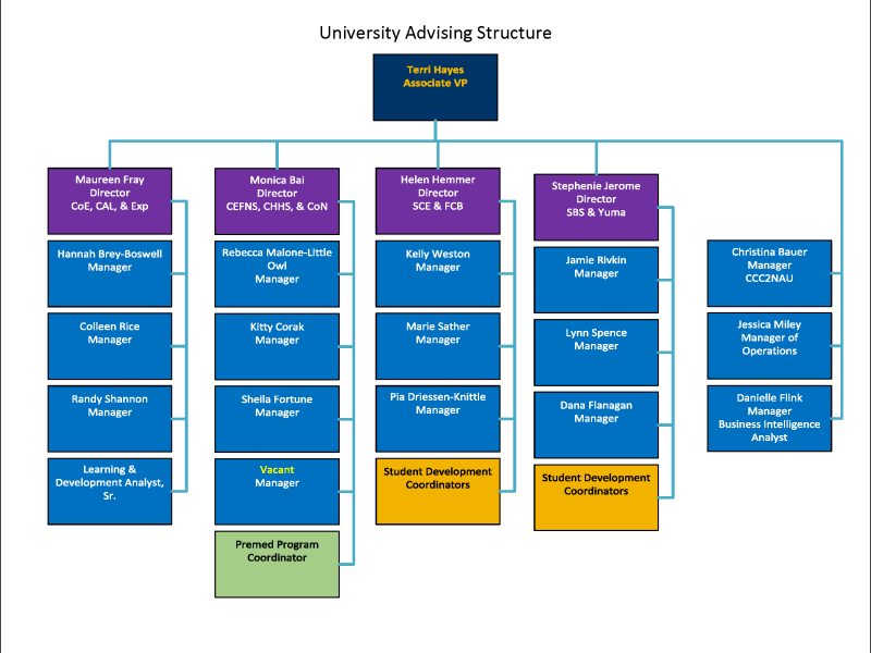 University Advising's leadership structure.