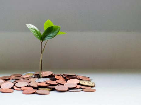 Retirement Money with Tree Photo by Micheile Henderson on unsplash