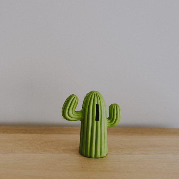 Cactus shaped piggy bank pho