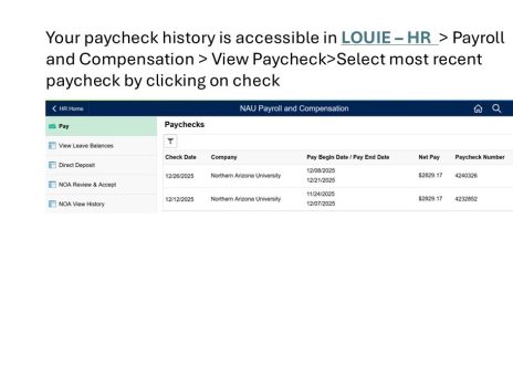 image of a paycheck listing in peoplesoft
