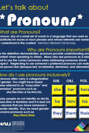 Pronouns Guide