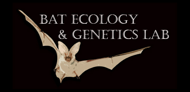 bat-ecology-genetics-lab_720-ek