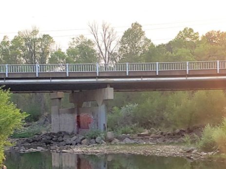 Image of a bridge frequented as a roosting site for bats.