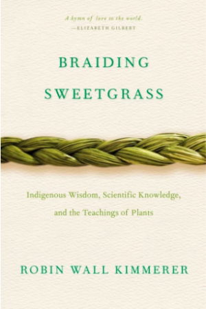 Book cover art: title and image of braided grass