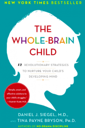 Book cover art: New York Times Bestseller: The Whole-Brain Child 12 Revolutionary Strategies to Nurture your Child's developing Mind. Daniel J. Siegel, M.D., and Tina Payne Bryson, PhD, authors of No-Drama Discipline (image of outline of young child)